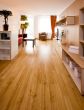 Project Floors floors@home/30 - PW1231 -
