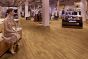 Project Floors floors@home/20 - PW2002 -