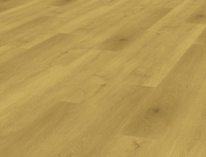 Fantastic Oak (Elbe)