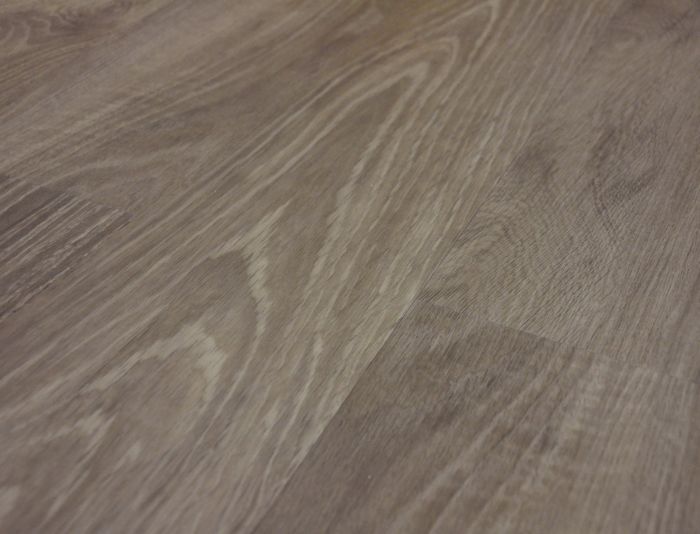 Smooth Oak (Himalaja)