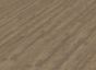 Smooth Oak (Pyrenäen)