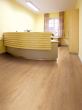 Project Floors floors@work/55 - PW3100 -