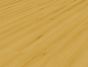 Fantastic Oak (Donau)