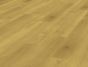 Fantastic Oak (Elbe)