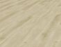Fantastic Oak (Saale)