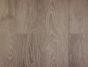 Smooth Oak (Himalaja)