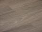 Smooth Oak (Himalaja)