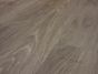 Smooth Oak (Himalaja)