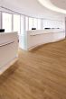 Project Floors floors@work/55 - PW3065 -